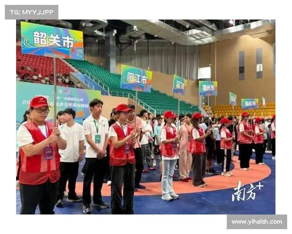 2017 赛事志愿者;大型赛事志愿者