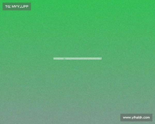 北斗户外赛事管理(北斗卫星定位技术驱动户外赛事智能化管理与风险防控平台构建)