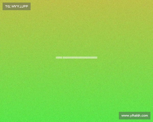 王中王赛事 王中王赛事年度盛典全球顶尖高手巅峰对决争夺至高荣耀桂冠