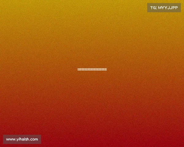 世界散打顶尖赛事盛典，全球高手巅峰对决