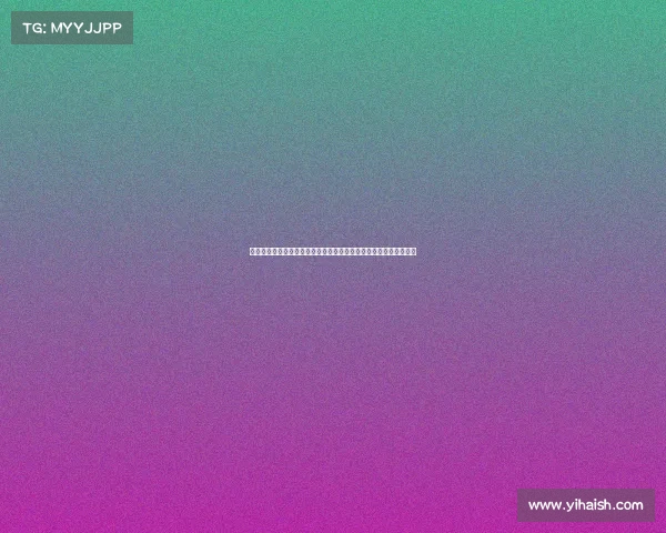 米堡赛事精彩纷呈新赛季征程充满挑战与激情球员球迷共铸辉煌时刻